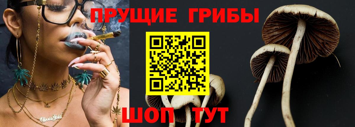 Псилоцибиновые грибы Cubensis  Вход с VPN  Псилоцибиновые грибы Psilocybe  Нефтекумск 